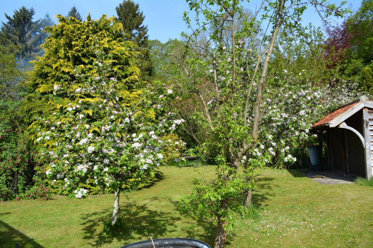 Bohemianbreezebreaks Bed & Breakfast Thornton Dale Eksteriør bilde